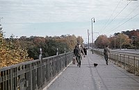1943. Berlin. Frey-Brücke in Spandau an der Heerstraße(Pichelsdorf)